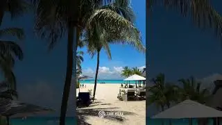 Welcome to The Reef Playacar