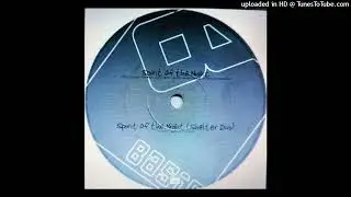Next Evidence - Spirit Of The Night