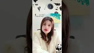 WWF Pakistan, Reduce Plastic Waste #savetheearth #youth4climate #wwf_pakistan #wwf #wwfpakistan
