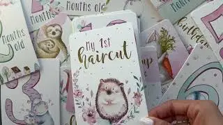 Baby Girl Milestone Cards