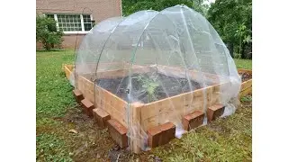 Wildlife Proof For Veggies I How to Protect Vegetable Garden from Animals