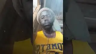 Rastafari Livity