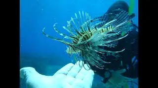 Scuba Diving in Creta - July 2022