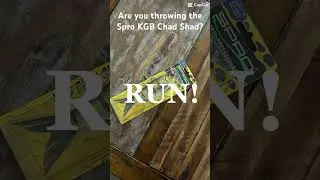 SPRO KGB Chad Shad...bass magnet