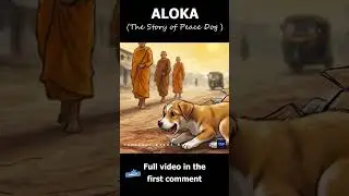 2,300 Miles of Hope : The Heartwarming Story of ALOKA, the 