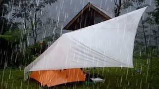 Wonderful Deep Sleep on Rainy Day | Heavy Pouring Rain on Tent |  Rain Sounds For Sleep 1 Hour