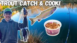 Trout Fishing HACK! Rainbow Trout Catch Clean and Cook! (Limited Out!)