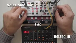 Roland T8 Sync Korg Volca Modular