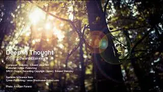 Deep In Thought - Edward Blakeley (Lynne Publishing)