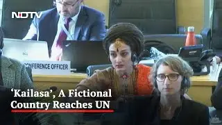 How Did 'Kailasa', A Fictional Country, Reach The UN?