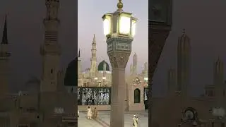 Medina Allah ho Allah#love​ #trending​ #muslim​ #allah​ #madinah​ #makkah​ #short​  #viral​