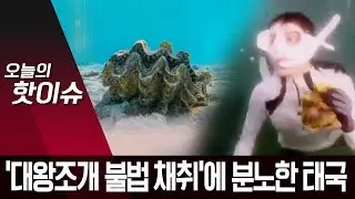 &lsquo;대왕조개 불법 채취&rsquo;에 분노한 태국&hellip;배우 이열음 고발 | 뉴스A