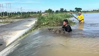 Mission With Work Hard Remove Floating Plants Clogged Massive Dam Drain Water To Farm