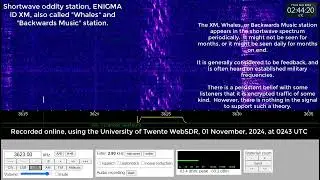 Shortwave oddity, ENIGMA ID XM, Whales, or Backward Music, 3623 kHz, 01 November, 2024, 0243 UTC