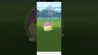 spheal community day??