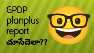 GPDP planplus report చూసేదెలా
