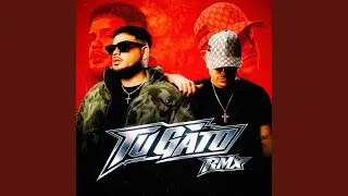 Tu Gato (RMX)