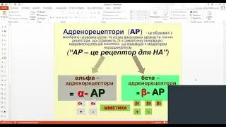 Фармакологія системи дихання  Професор Олександр Нефьодов