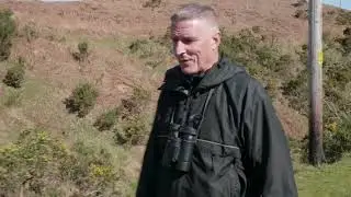 Весеннее сафари в заливе Суонси с Иоло Уильямсом &mdash; Rural Swansea