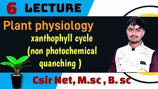 06- Plant physiology || Xanthophyll cycle (non photochemical quenching)|| by :- Roshan sir