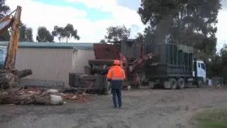 Big Chipper Victoria Demo Day