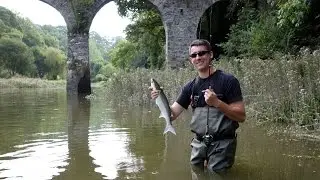 P&ecirc;che de mulets &agrave; la cuill&egrave;re