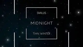 Alesso - Midnight feat Liam Payne (Smilus & Tian Winter Cover)