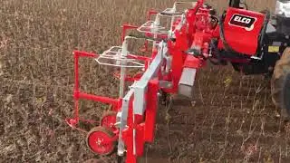 Mechanische Onkruidbeheersing 2019 05 08