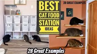Лучшие идеи для кормушек для кошек | 28 умных вариантов для одной или нескольких кошек