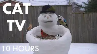 Cat TV for Pets to Watch - 10 Hours of Backyard Birds, Squirrels and Snowmen - Jan 27, 2026