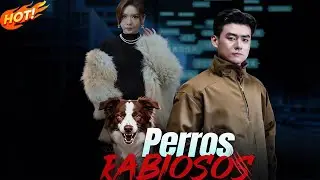 【Perros rabiosos】Un adiestrador contra la mentira viral: justicia en vivo