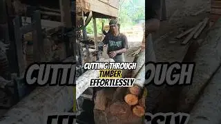 Cutting Through Timber Effortlessly #woodworking #wood #satisfying #viral #2026