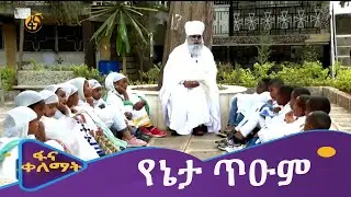 የኔታ ጥዑም