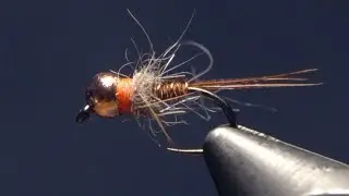 Hotspot Pheasant Tail  - Euro Nymph
