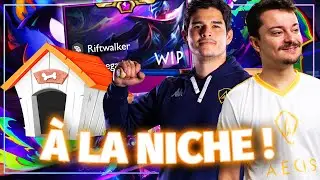 &Agrave; LA NICHE PASDEBOL !