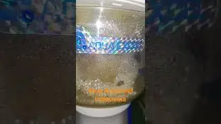 King aquareef indonesia memyediakan Protein Skimmer aqua excel, pemesanan bisa melalui Felix id