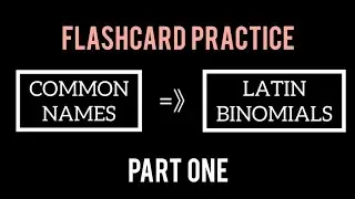 COMMON NAMES TO LATIN BINOMIALS | PART ONE (101, MOD 1-6)