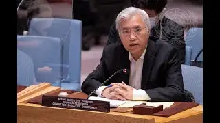 Fifteenth report of the Secretary-General on the threat posed by ISIL (Da'esh)