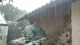 Rain Sounds That Will Heal Your Soul &mdash; Close Your Eyes And Relax