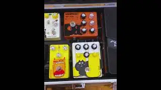 TONECAT Story Driven Pedalboard #pedalboardoftheday #pedalboard #guitarpedals