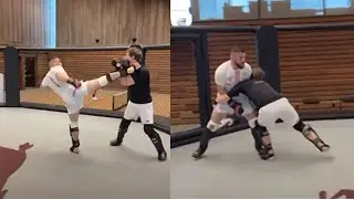 UFC Fighter Merab Dvalishvili Fight With Mark Zuckerberg After Title Loss