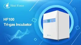 HF100 Multigas Incubator-CO2 /Tri-gas Incubators