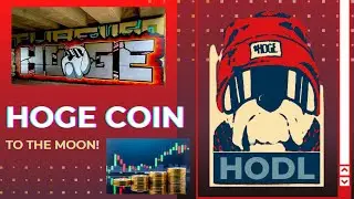 The TRUTH About HogeCoin and How It Is Dogecoin's Big Brother!