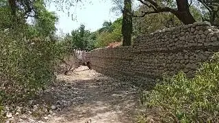 Chambal Temple to Nurshing Phowar Track Soon Valley Pakistan P-3-8 | Copyright Free Clips