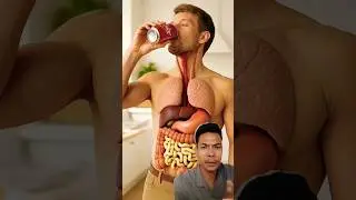 Liquid Flow Through Organs in 3D | Digestive System Animation #Shorts #viral