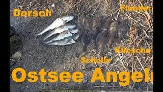 Ostsee Angeln mit MisterX Live Biss anfang November 2018!!!