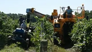 How a 1976 law kickstarted the wine industry in New York&rsquo;s Finger Lakes Region