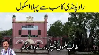 The First School in Rawalpindi I Muslim Higher Secondary School I Banyan Tree Used to Slap Students