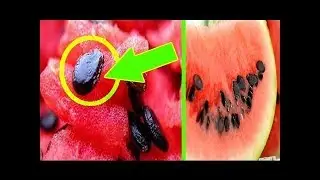 TAKE WATERMELON SEEDS AND BOIL THEM THE RESULTS WILL SHOCK YOU
