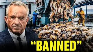 Robert F. Kennedy Jr Just SHUTDOWN These 15 Foods From American Markets